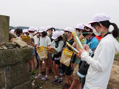古墳について学びました