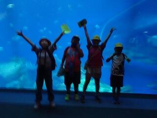 水族館の大水槽前で～