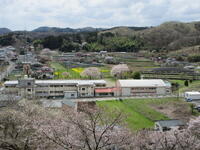 大宮神社から見た真名子小学校