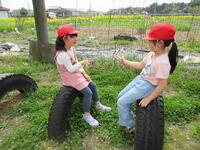 桜の木の下で遊ぶ真名子っ子