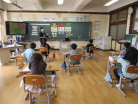 上手に分類できました