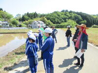 若松家・若林家・高岩家