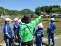 若松家・若林家・高岩家