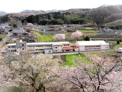 大宮神社から眺めた本校