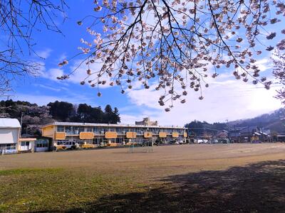 桜の木の下から見た校舎