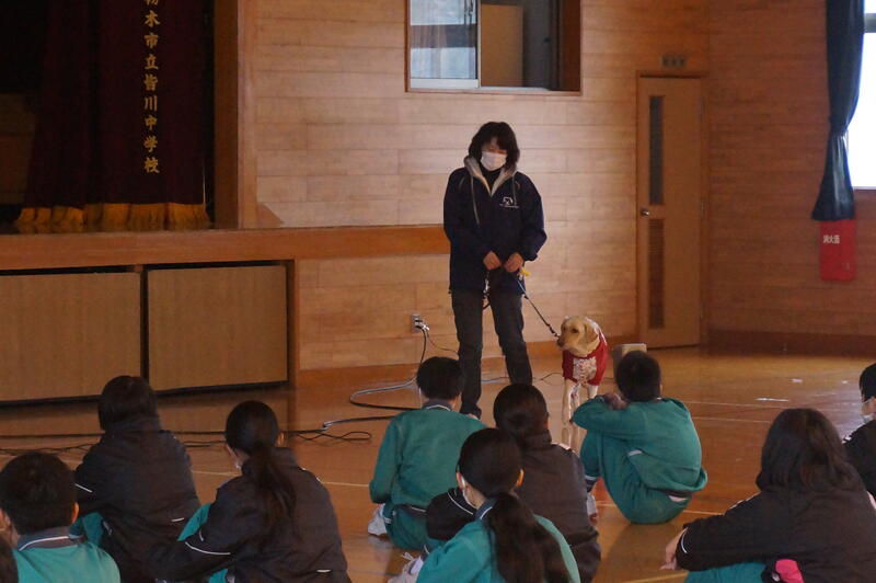 盲導犬との歩行