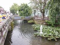 県庁堀画像 県庁堀画像