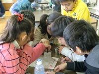 スポーツドリンクに電気をためる