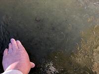 少しぐらい押しても割れません!!